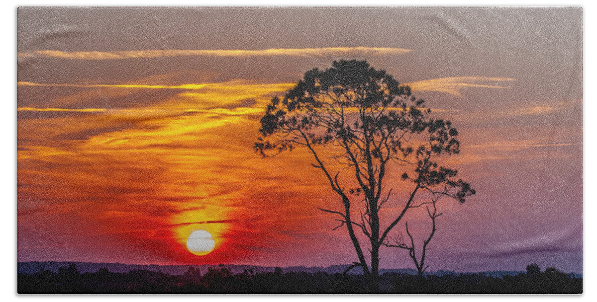 Sun Beach Sheet featuring the photograph Sundown With Tree by William Bitman