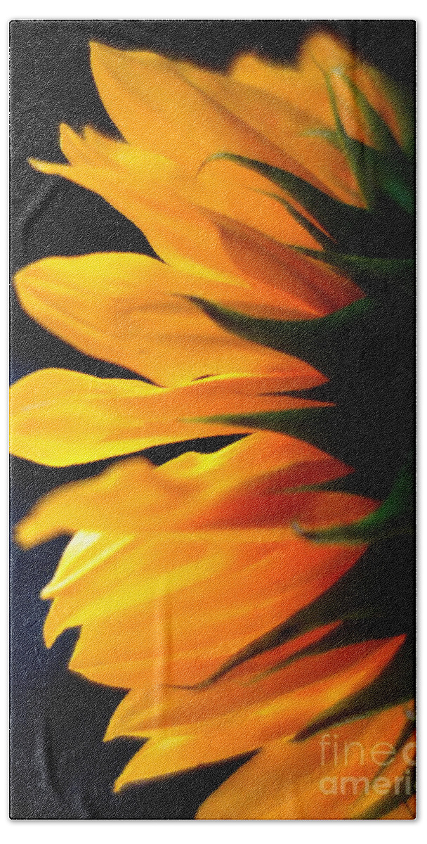 Flower Beach Towel featuring the photograph Sunflower 2 by Jacqueline Athmann