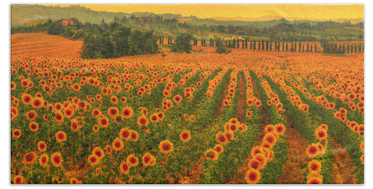 Tuscany Beach Towel featuring the photograph Sunflower dream by Midori Chan