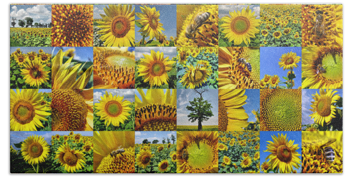 Sunflower Beach Sheet featuring the photograph Sunflower field collage in yellow by Daliana Pacuraru