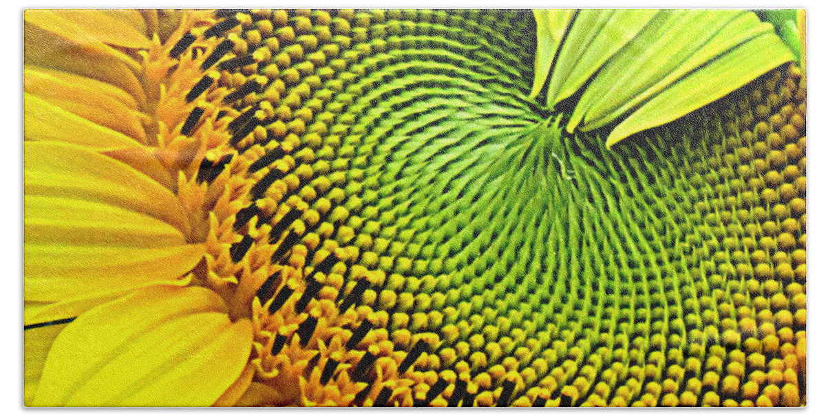 Flowers Beach Sheet featuring the photograph Kaleidescope Sunflower by Lori Lafargue