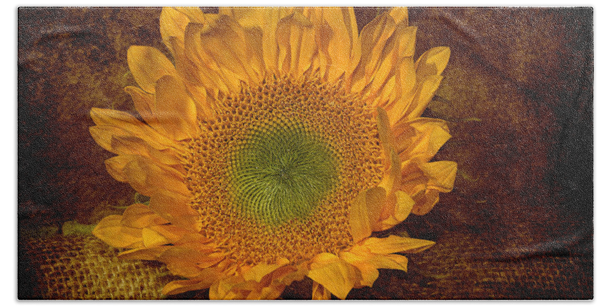 Suflower Beach Towel featuring the photograph Sunflower Light by Phyllis Denton