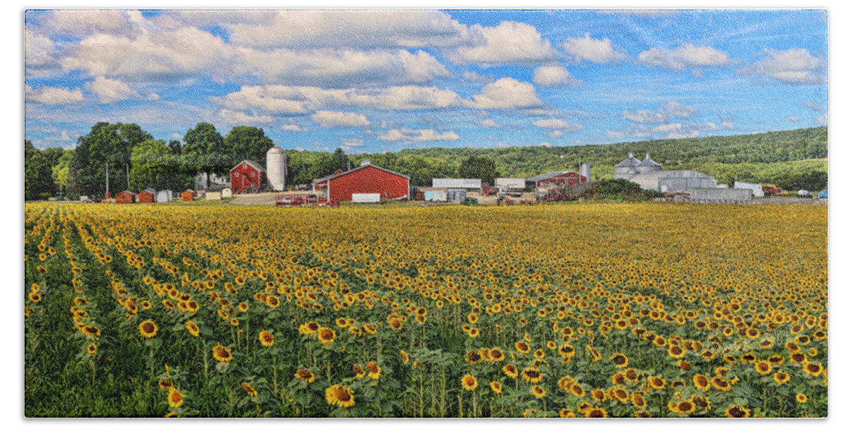 Yellow Beach Sheet featuring the photograph Sunflower Nirvana 17 by Allen Beatty
