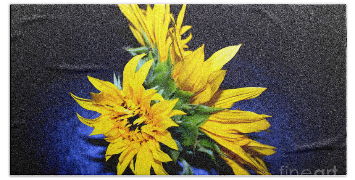 Sunflower Beach Towel featuring the photograph Sunflower Portrait by Kelly Holm