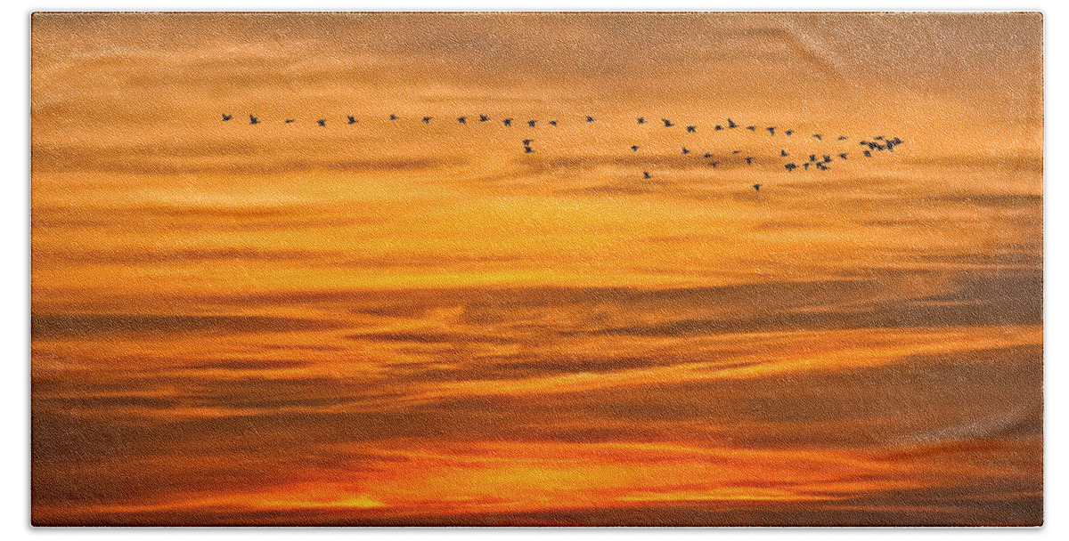 Canadian Geese Beach Towel featuring the photograph Sunrise Flight by David Kay