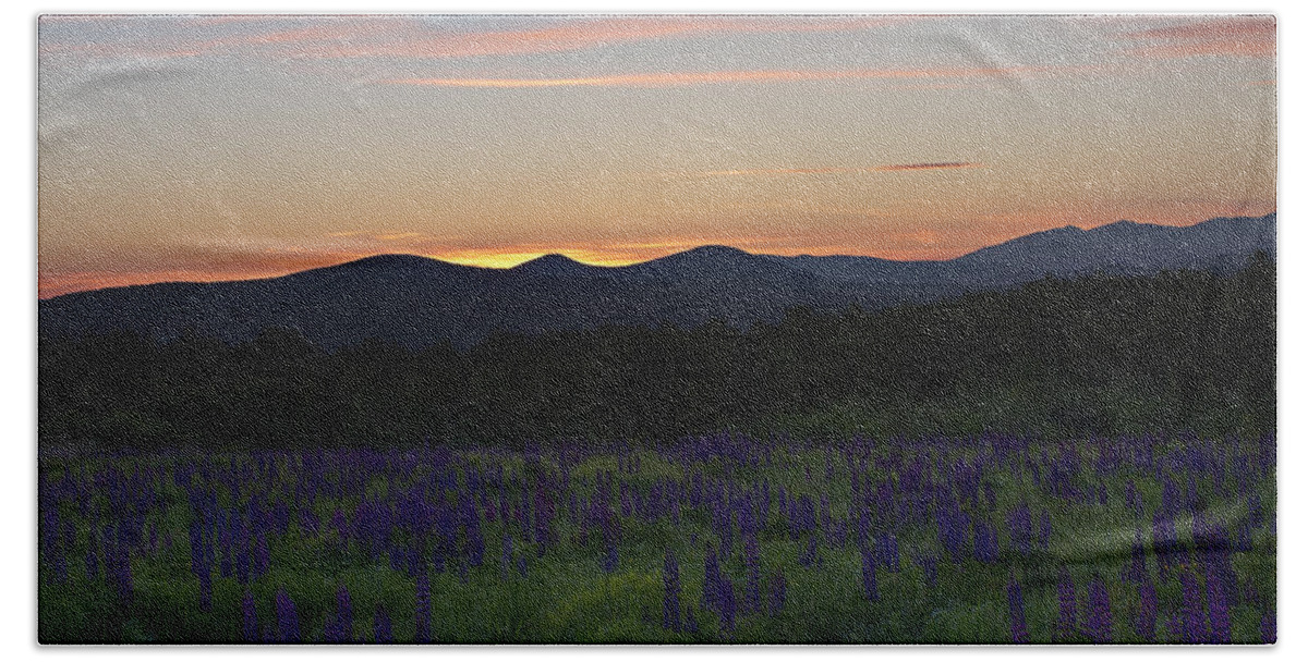 Sunrise Beach Towel featuring the photograph Sunrise over a Field of Lupines by John Vose