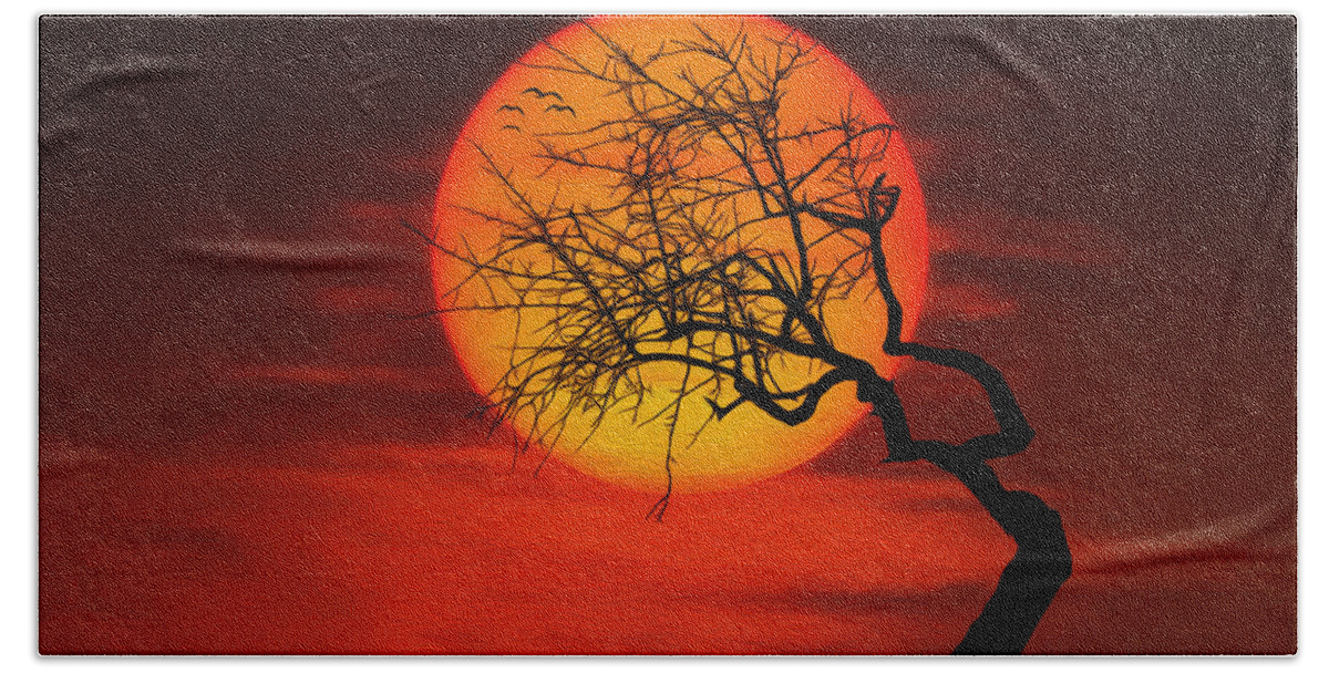 Amazing Nature Beach Sheet featuring the photograph Sunset tree by Bess Hamiti