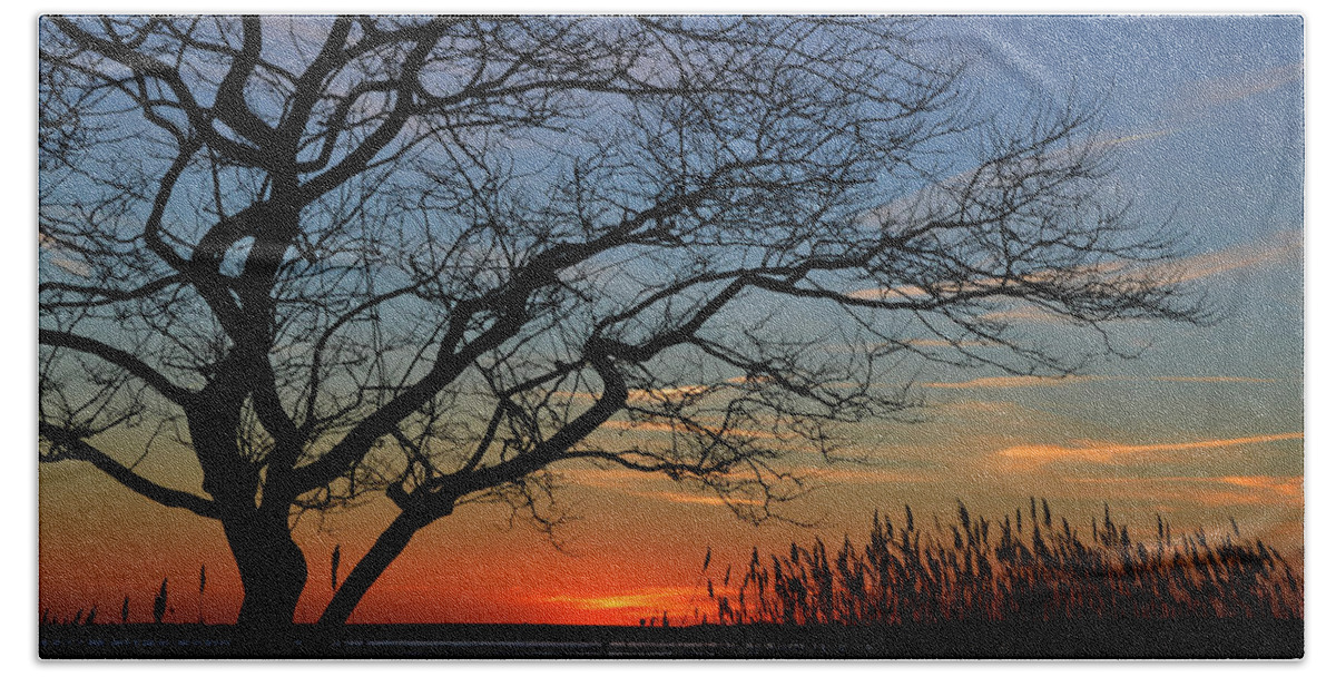 Assawoman Bay Beach Towel featuring the photograph Sunset Tree in Ocean City MD by Bill Swartwout