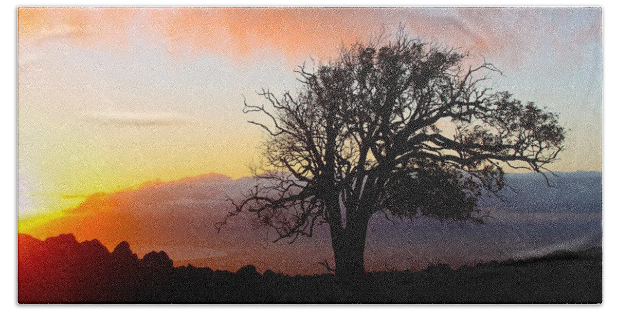.sunset Beach Sheet featuring the photograph Sunset Tree In Maui by Venetia Featherstone-Witty