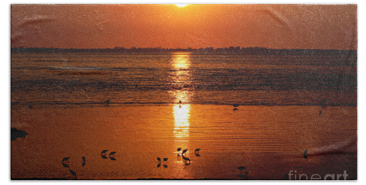 Sunset Beach Sheet featuring the photograph Sunset with the Birds Photo by Meg Rousher