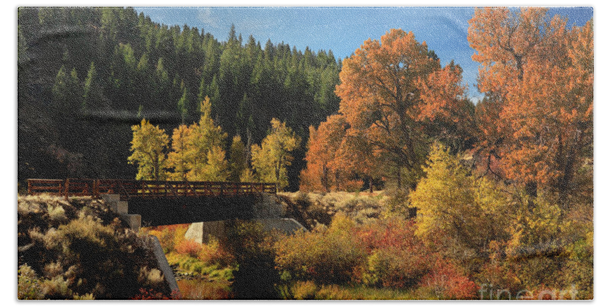 Autumn Beach Sheet featuring the photograph Susan River Bridge On The Bizz 2 by James Eddy