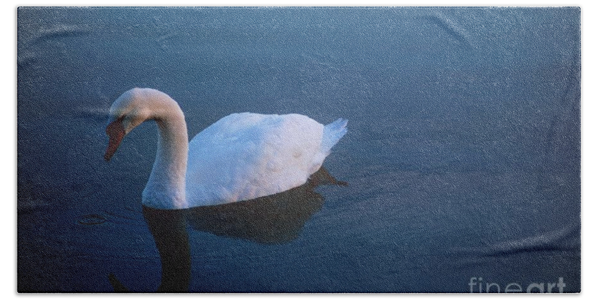 Blue Water Beach Towel featuring the photograph Swan at Sunrise by John Harmon