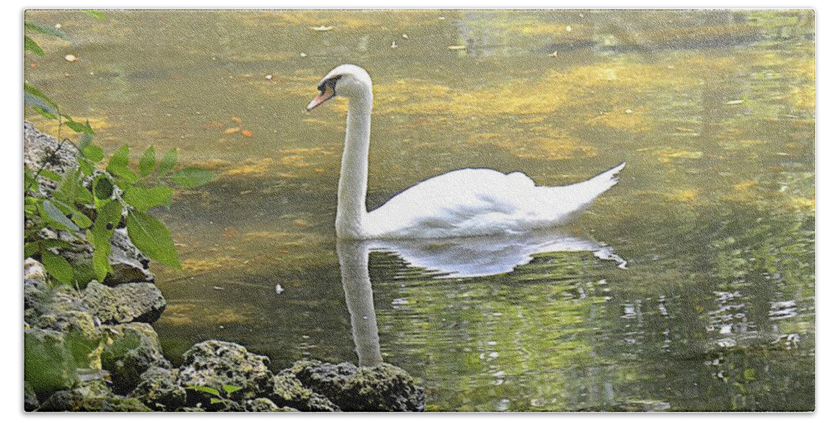 Swan Beach Towel featuring the photograph Swan Lake Reflections by Carol Bradley