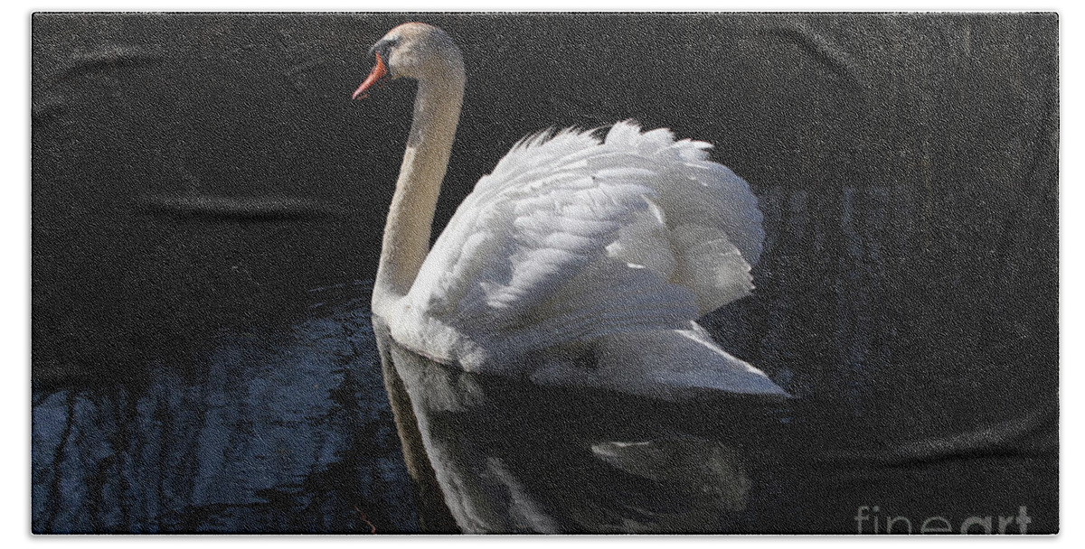 Swan Beach Sheet featuring the photograph Swan with Reflection by Eleanor Abramson