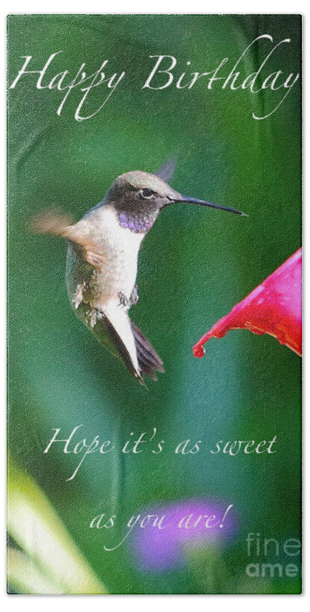 Hummingbird Beach Towel featuring the photograph Sweet Hummingbird Birthday Card by Carol Groenen