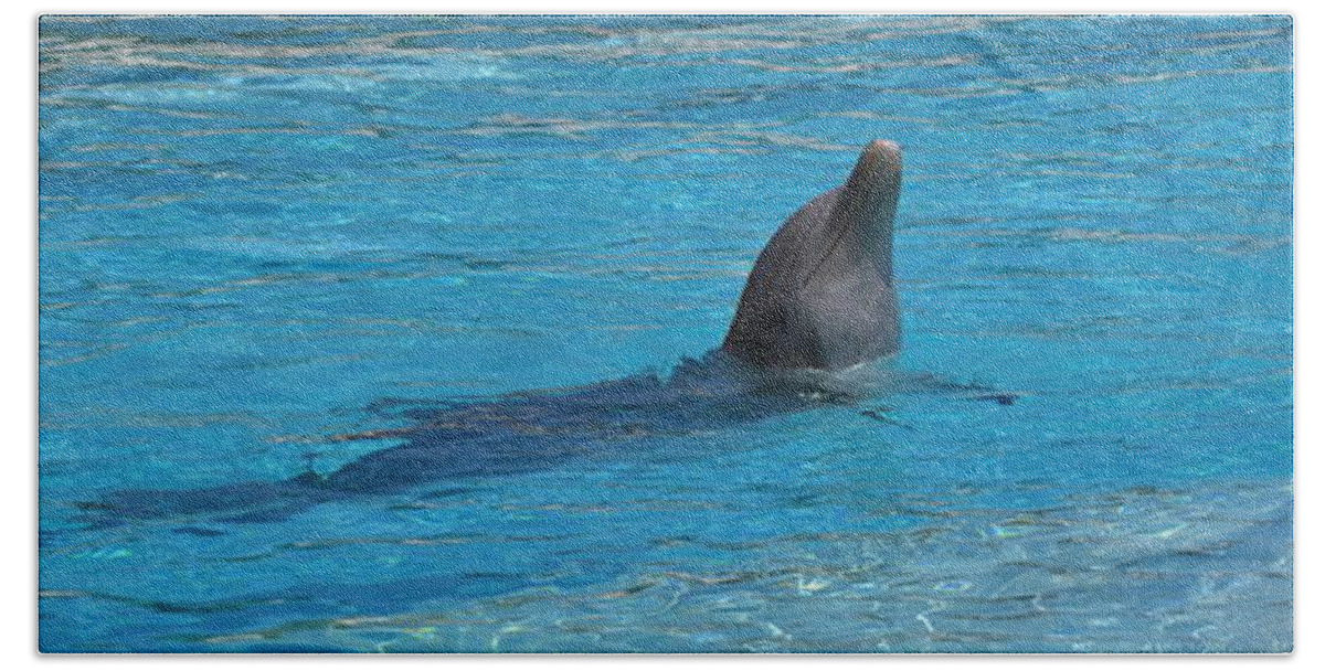 Dolphin Beach Sheet featuring the photograph Swimming by Amanda Eberly