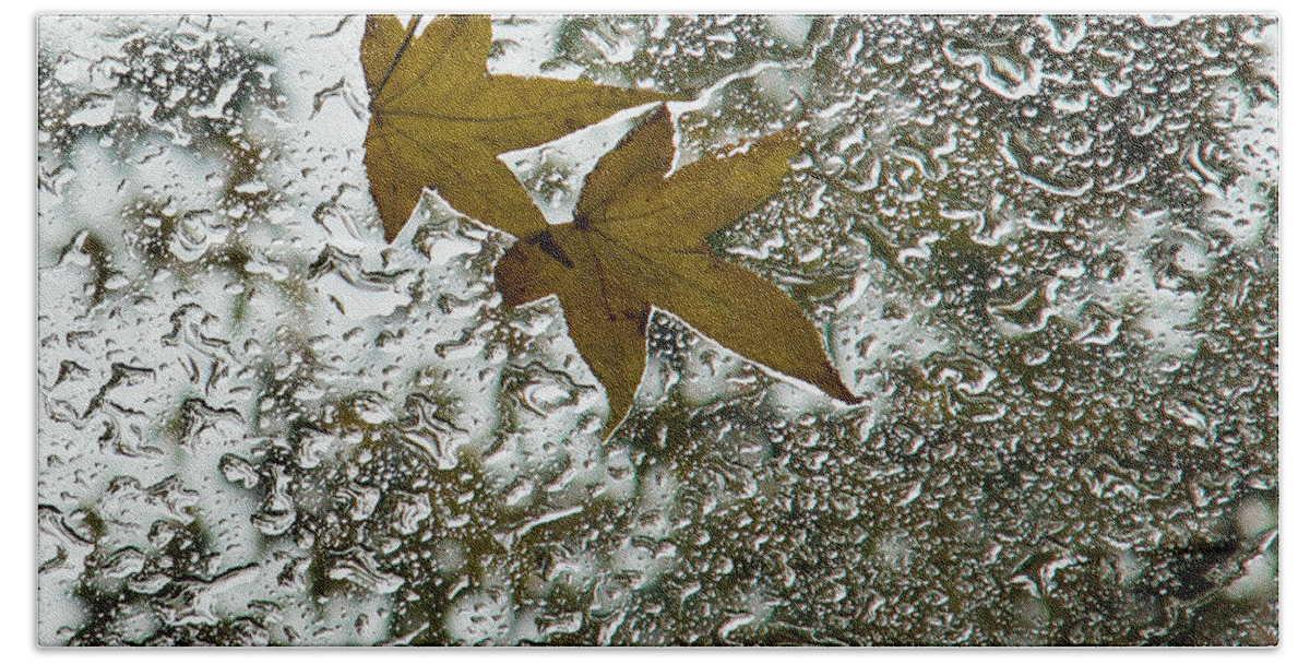Georgia Mizuleva Beach Sheet featuring the photograph Symbols of Autumn by Georgia Mizuleva