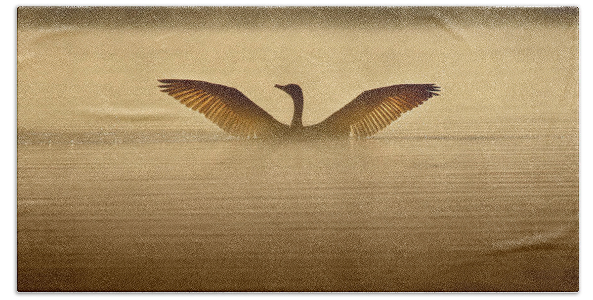 Cormorant Beach Towel featuring the photograph Symmetry by Rob Blair