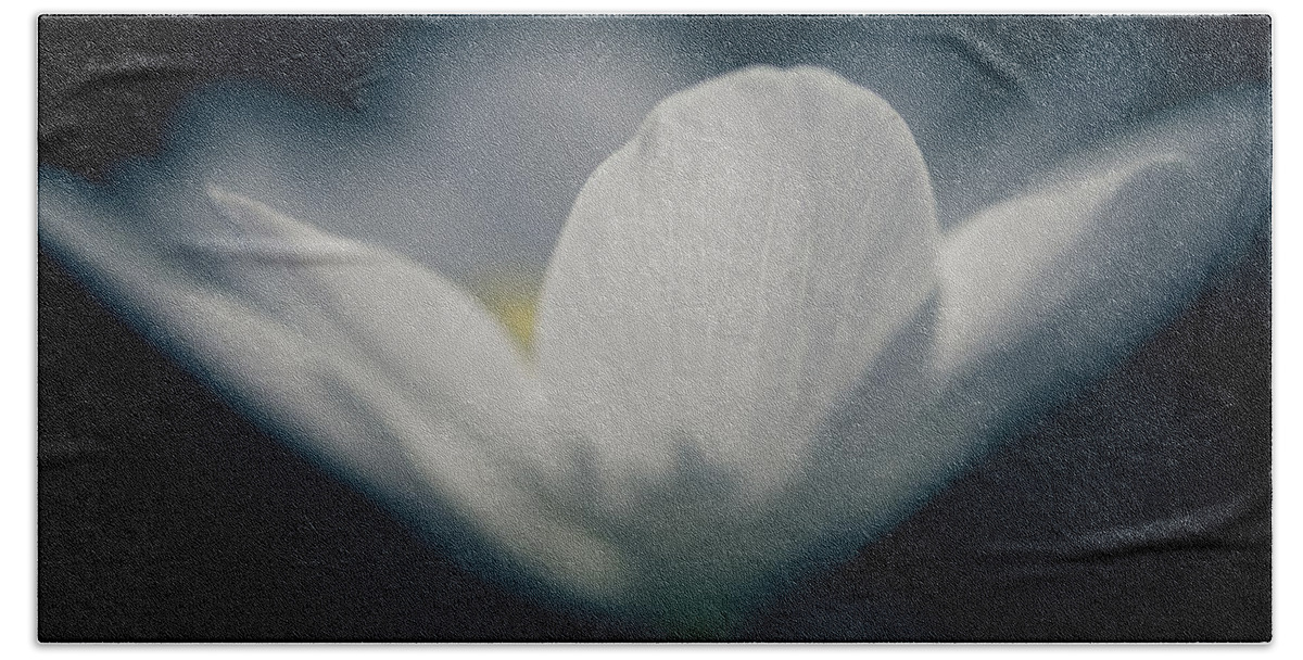 Flower Beach Sheet featuring the photograph Symphony Of Spring by Shane Holsclaw