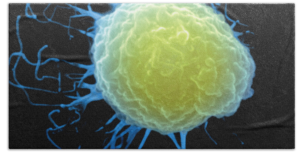 Scanning Electron Micrograph Beach Towel featuring the photograph T-cell by Stem Jems