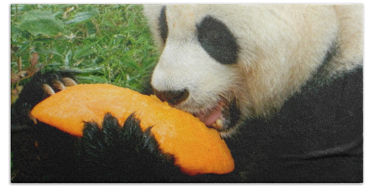 Giant Pandas Beach Towel featuring the photograph Tangerine Delight by Emmy Marie Vickers