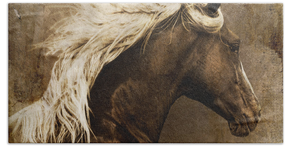 Horse Beach Towel featuring the photograph Taos by Priscilla Burgers