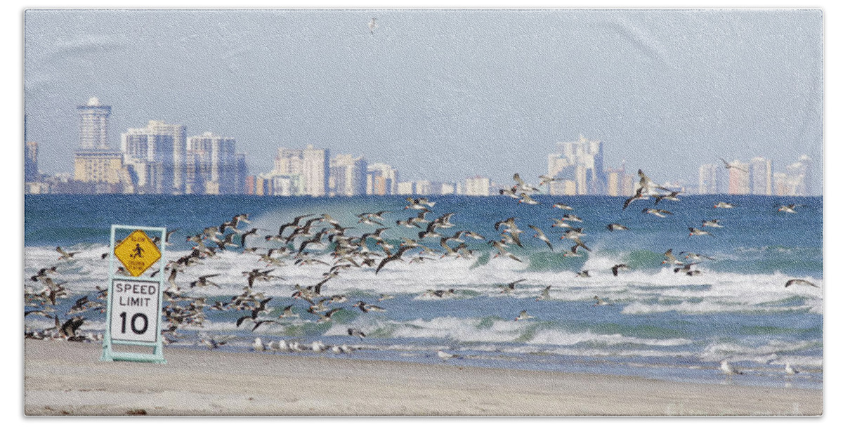 Birds Beach Sheet featuring the photograph Terns On The Move by Deborah Benoit