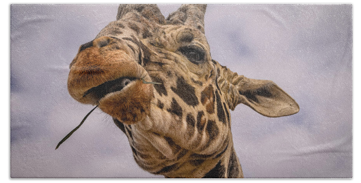 Africa Beach Towel featuring the photograph Thank You by Mark Myhaver