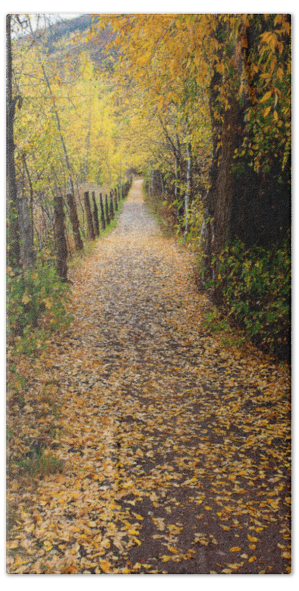 Autumn Colors Beach Sheet featuring the photograph The Aspen Trail by Jim Garrison