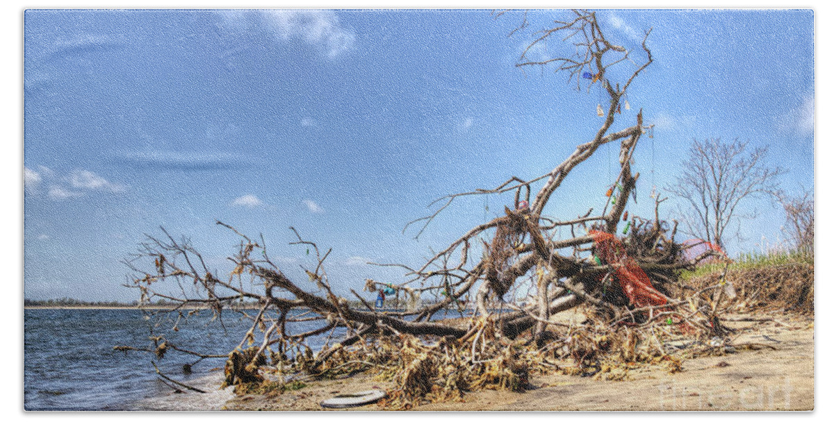 Washed Ashore Beach Towel featuring the photograph The Bottle Tree by Rick Kuperberg Sr