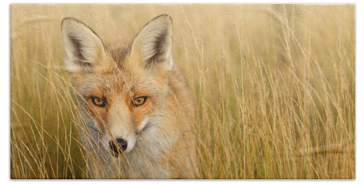 Afternoon Beach Towel featuring the photograph The Catcher in the Grass by Roeselien Raimond