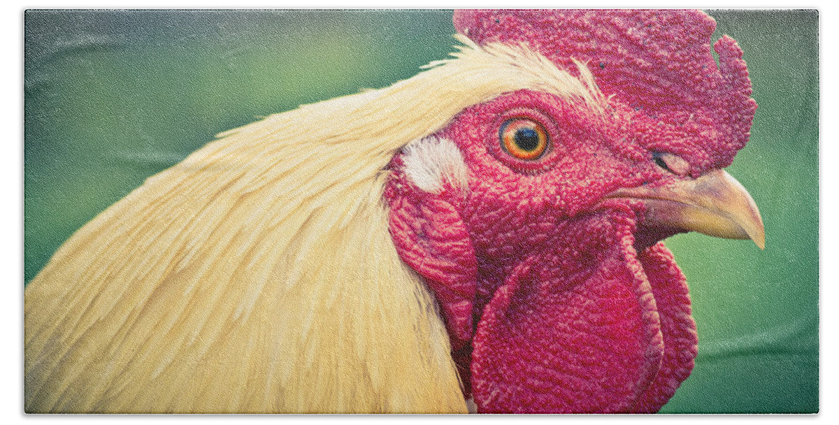 The Crazy Chicken Beach Towel featuring the photograph The Crazy Chicken by Priya Ghose
