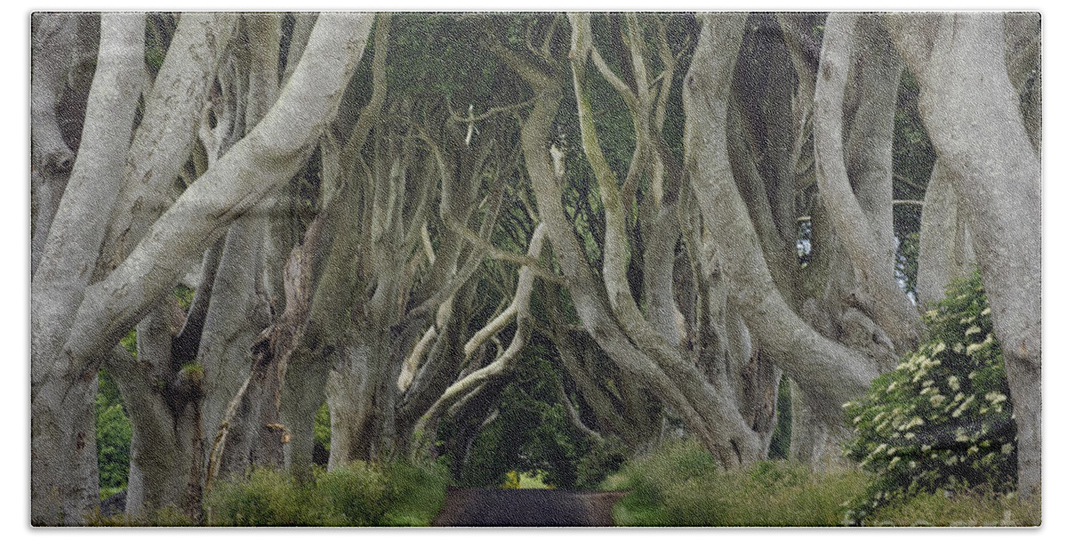 County Antrim Beach Towel featuring the photograph The Dark Hedges, Northern Ireland by John Shaw