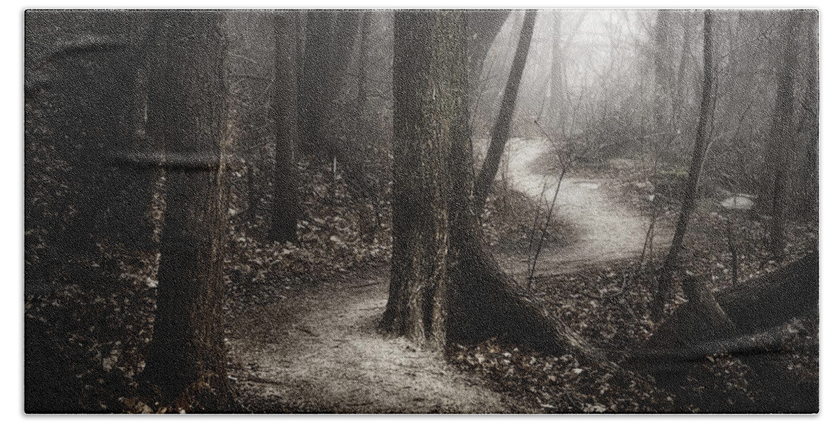 Path Beach Towel featuring the photograph The Foggy Path by Scott Norris