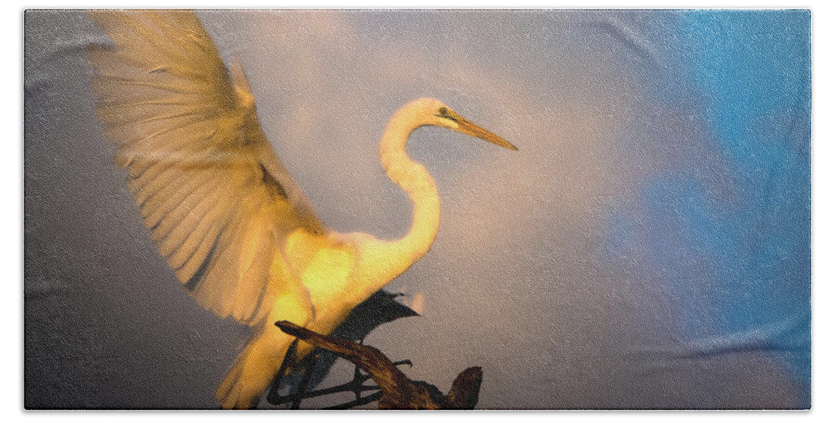 Great White Egret Beach Towel featuring the photograph The Golden Egret by Mark Andrew Thomas