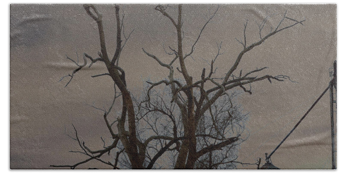 Spooky Beach Towel featuring the photograph The Haunting Tree by Alys Caviness-Gober