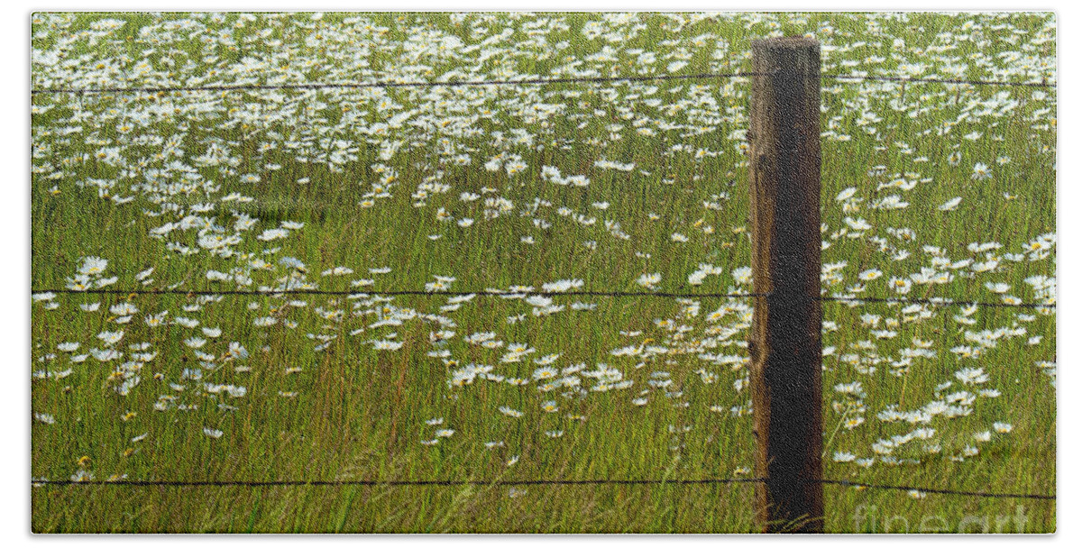 Flowers Beach Towel featuring the photograph The Other Side by Jim Garrison