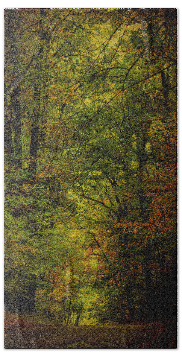 Autumn Beach Towel featuring the photograph The Road Into Fall by Carol Senske
