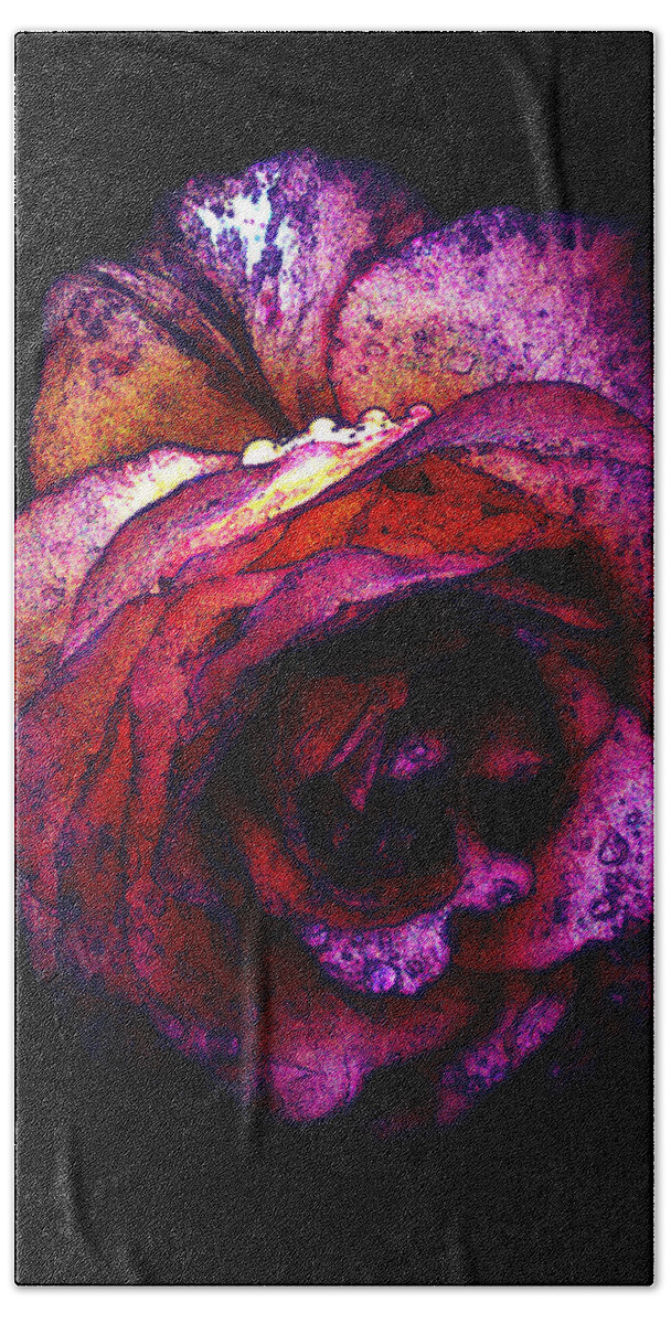Royal Beach Towel featuring the photograph The Royal Rose by Stephanie Hollingsworth
