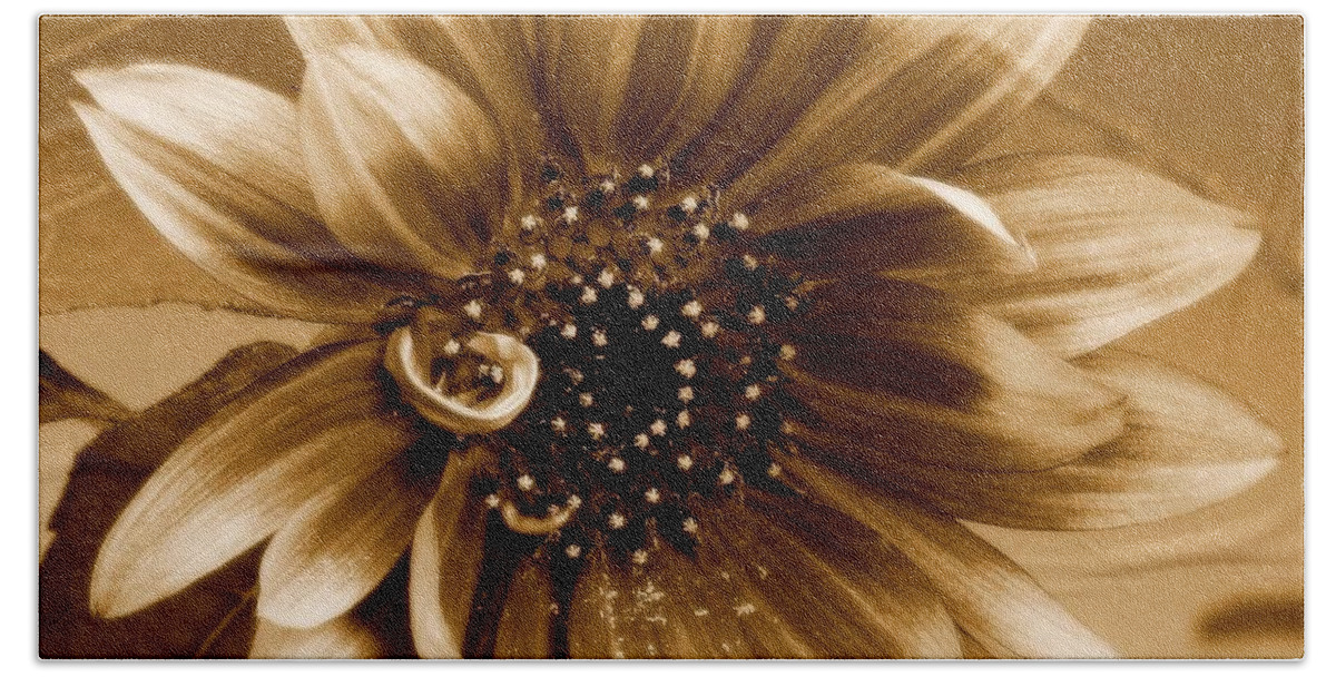 Sepia Beach Towel featuring the photograph The Sunflower by Peggy Hughes