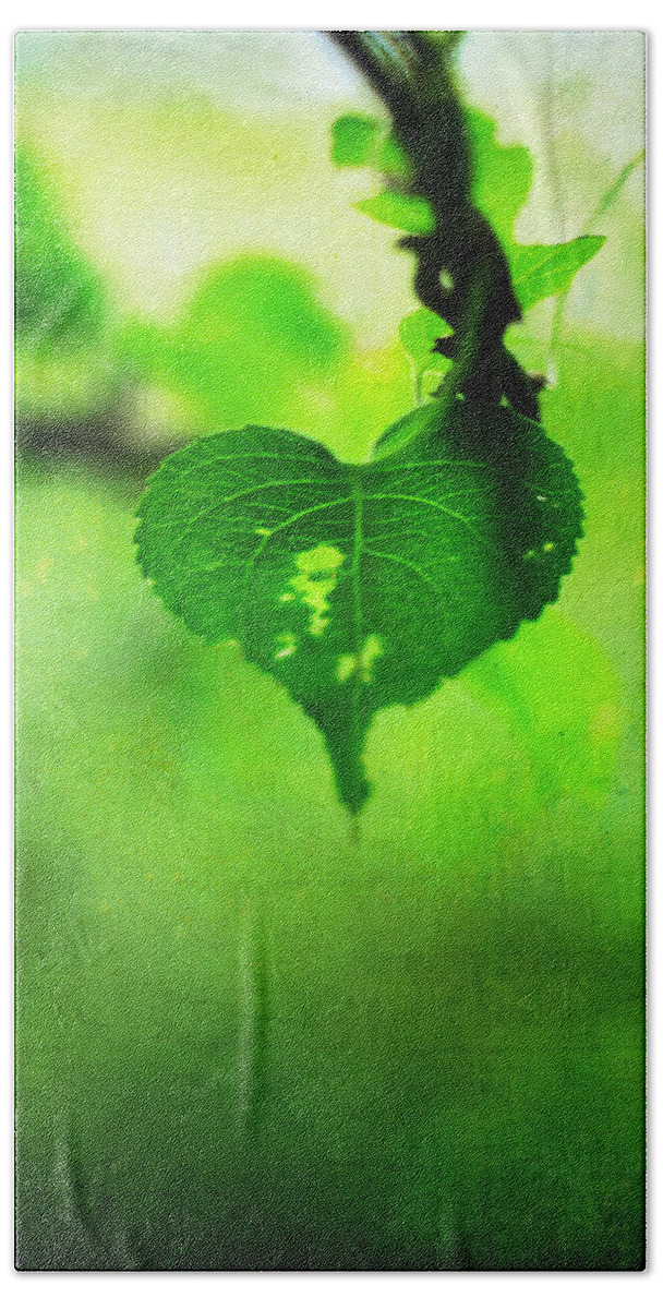 Heart Beach Towel featuring the photograph The Trailing Vine by Rebecca Sherman