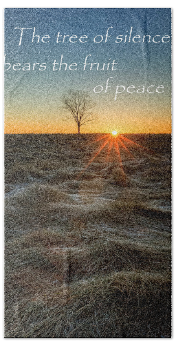 Quotes Beach Towel featuring the photograph The Tree of Silence by Bill Wakeley
