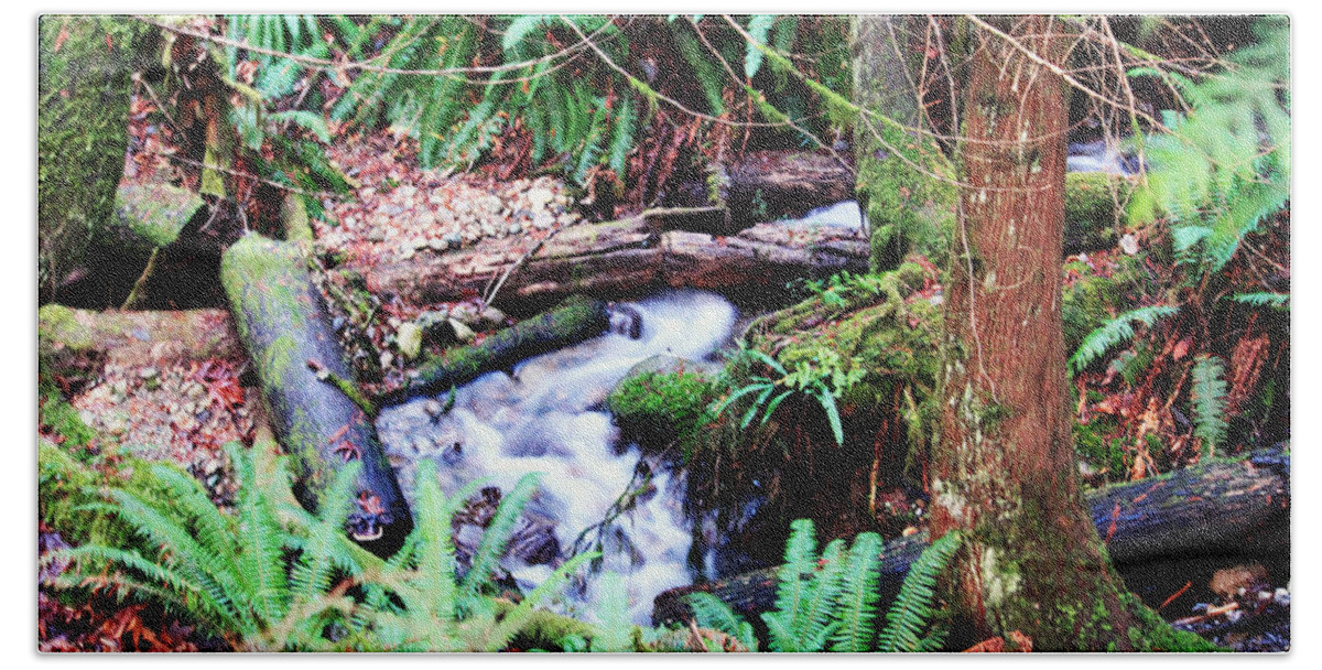 Creek Beach Towel featuring the photograph The Unknown Creek by Edward Hawkins II