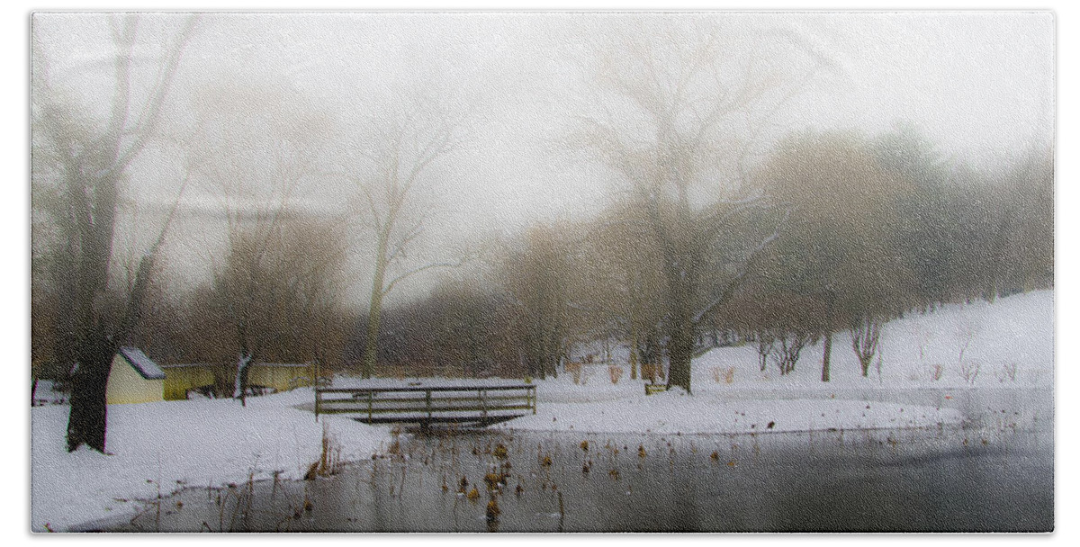 Willows Beach Towel featuring the photograph The Willows in Winter - Newtown Square Pa by Bill Cannon