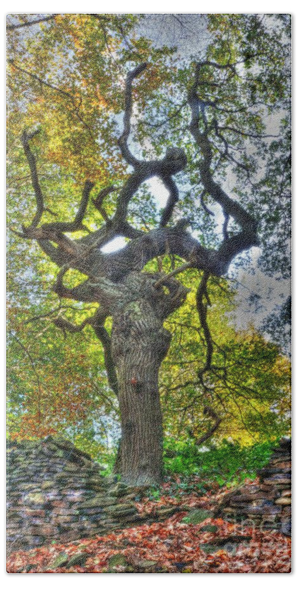 Tree Beach Towel featuring the photograph The Witches Tree by David Birchall