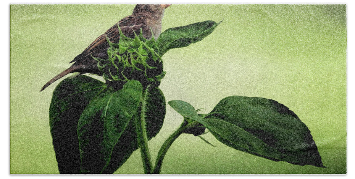 Bird Beach Towel featuring the photograph Thoughtful Sparrow by Lucy VanSwearingen