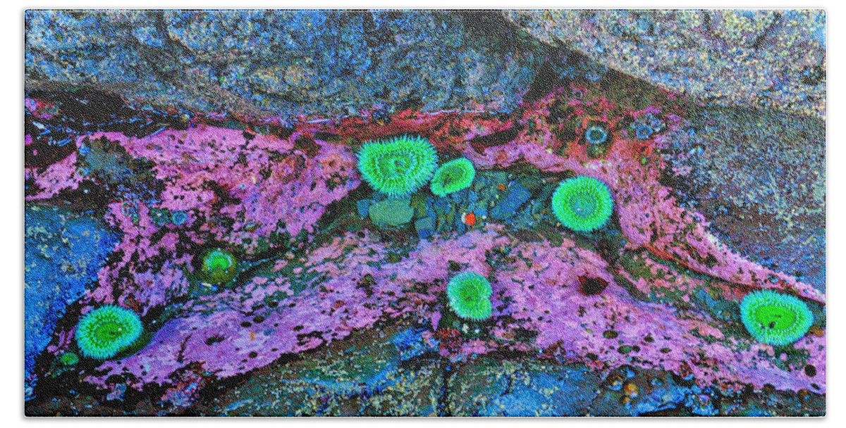 Anemone Beach Towel featuring the photograph Tide Pool Anemones by Greg Norrell