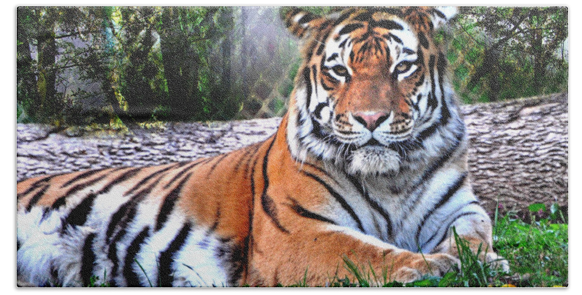Tiger Beach Towel featuring the photograph Tiger 2 by Marty Koch