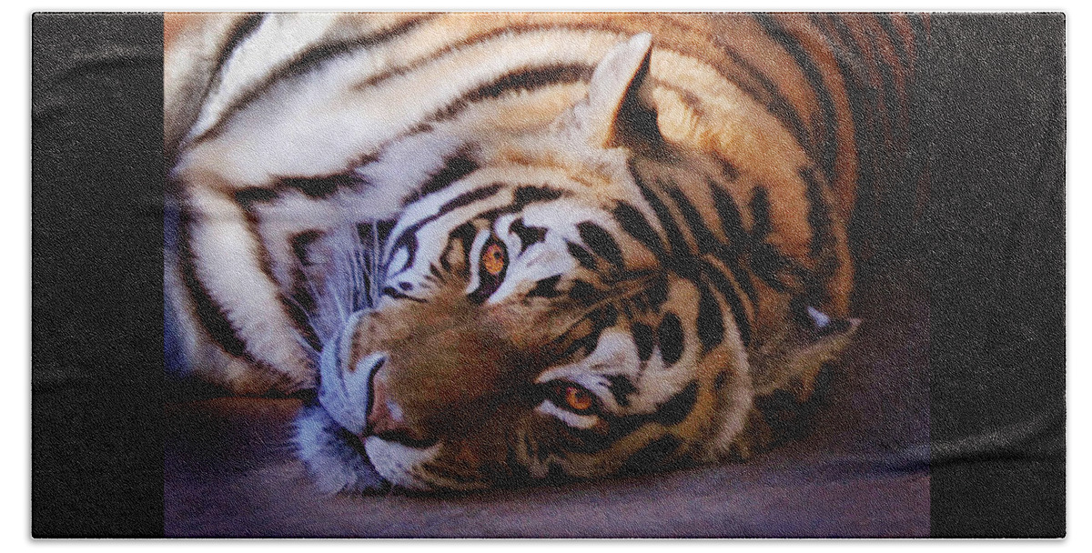 Siberian Tiger Beach Towel featuring the photograph Tiger Eyes by Melinda Hughes-Berland