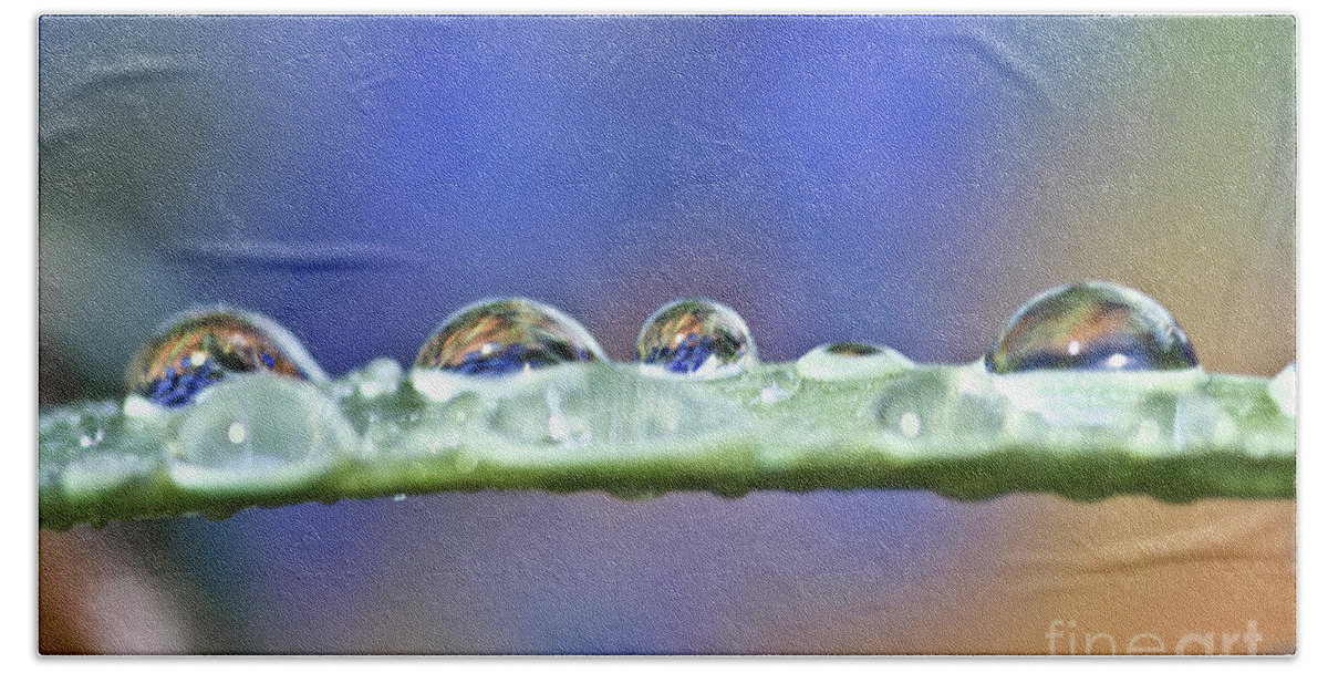 Drop Beach Towel featuring the photograph Tiny waterdrops and a leaf by Heiko Koehrer-Wagner